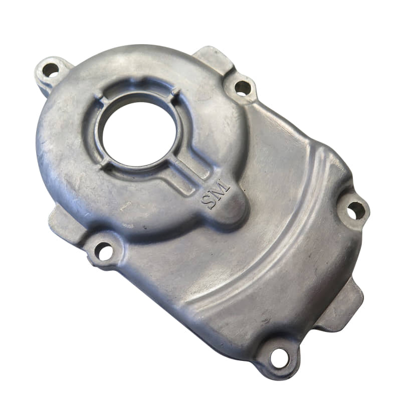 Getriebeabdeckung Rex Motordeckel Kupplungsdeckel 50ccm 2Takt Motorroller.de Getriebegehäuse Gehäusedeckel Variodeckel Variomatikdeckel Seitendeckel