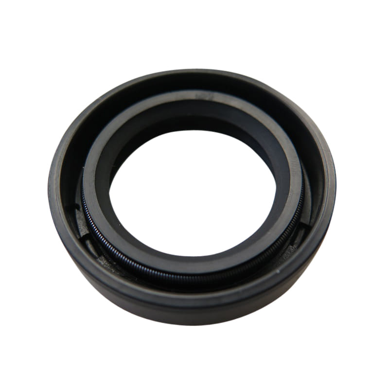 Simmerring 20 x 31 7 95572031700