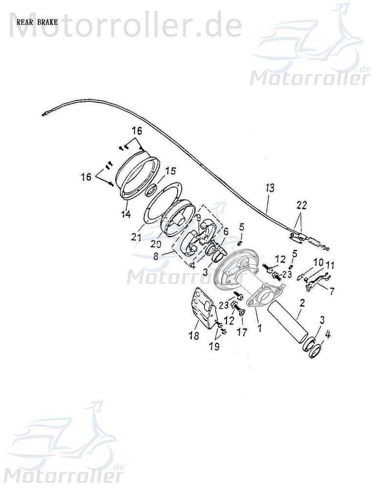 Adly Bremsbackenfedern ATV 50 II Utility XXL AC 50ccm 2Takt Motorroller.de Bremsbackenfedersatz hinten 50ccm-2Takt Quad ATV 50 V UTV Ersatzteil