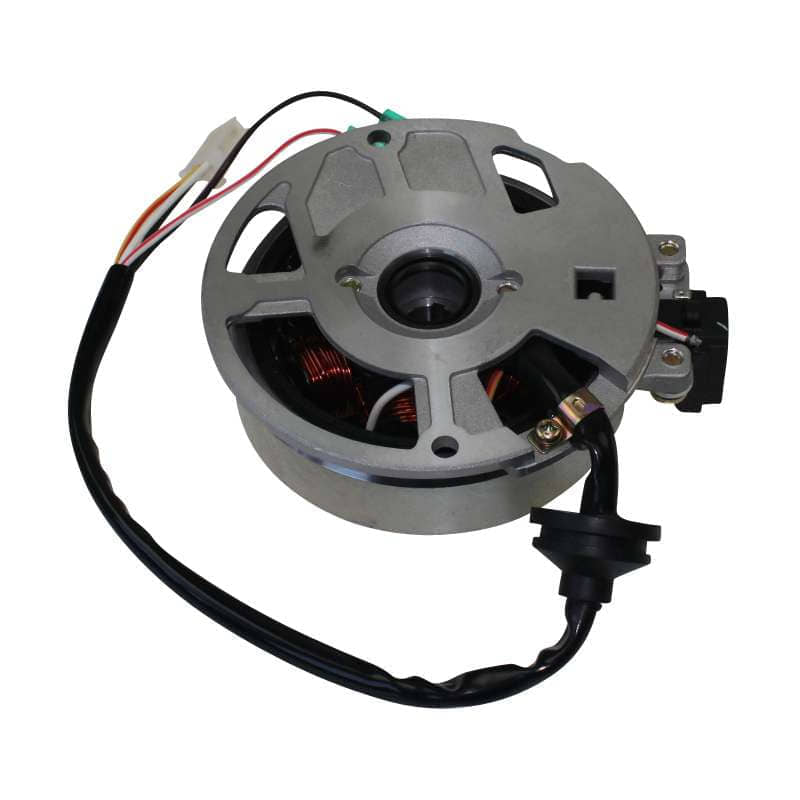 Rex 50 Scooter Mofa Lichtmaschine 35500-NAF-00 50ccm Motorroller.de Stromgenerator Zündplatte Stator Ankerplatte 2Takt 1E40QMB YY50QT-28