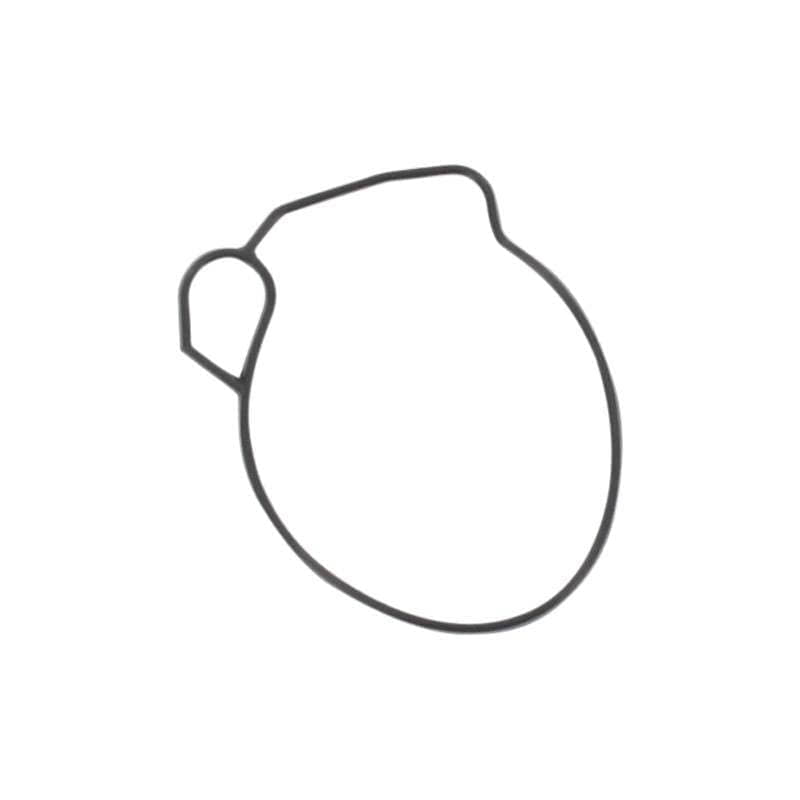 Rex 50 Scooter Mofa Vergaserdichtung 50ccm 2Takt Motorroller.de Dichtung Vergaser Schwimmerkammer 1E40QMB YY50QT-28 50cc 2T Minarelli