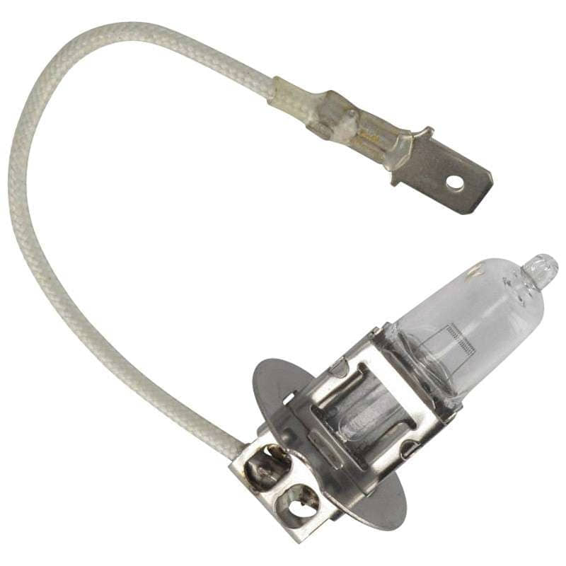 Rex RS900 Halogenbirne 12V55W Halogenleuchte Roller Motorroller.de Halogenglühlampe 50ccm 4Takt 139QMB JSD50QT-13 50cc 4T 139QMA