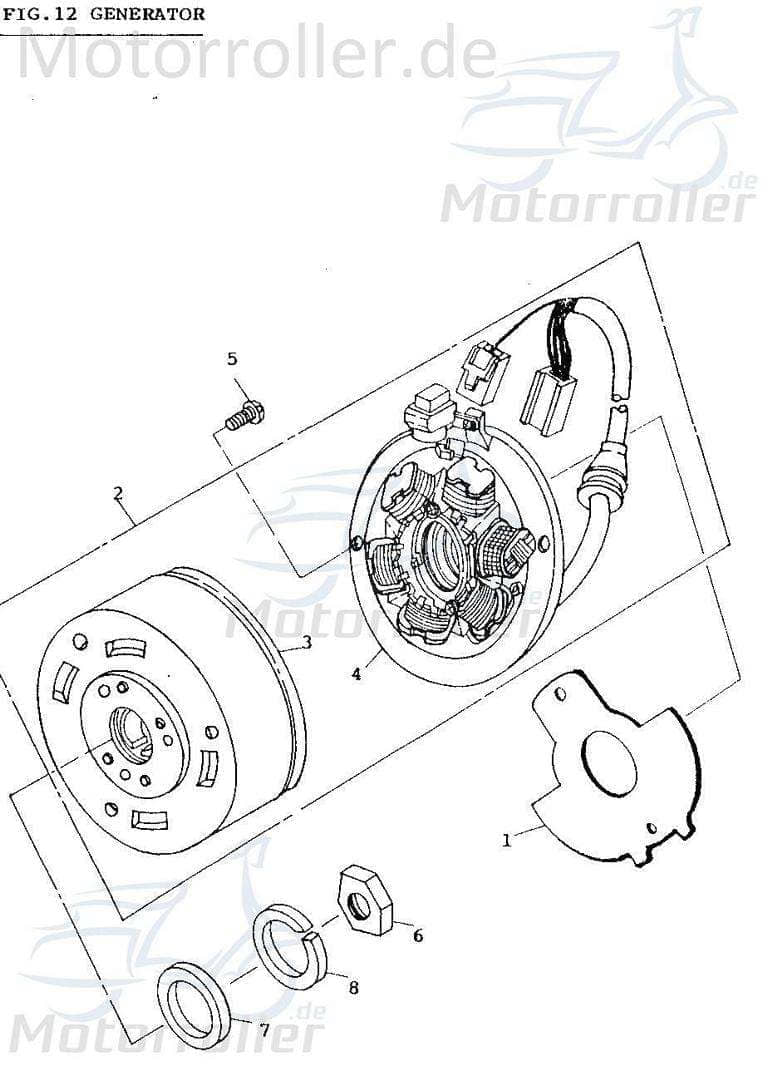 Adly Lichtmaschine Stator Fox Plus 50 FP-50 50ccm 2Takt Motorroller.de Ankerplatte Zündplatte Zündgrundplatte Lichtmaschinenspulen Generatorplatte