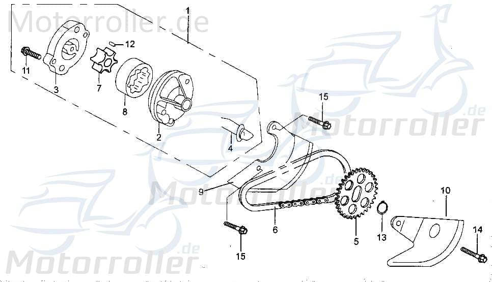 Ölpumpenkette Tongjian 172MM-117 Motorroller.de