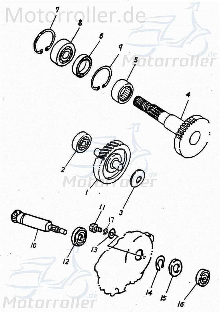 Adly Unterlegscheibe 12.3x29x0.5mm Distanzscheibe 50ccm 2Takt Motorroller.de Distanzhalter U-Scheibe Washer Beilagscheibe Ausgleichsscheibe Scooter