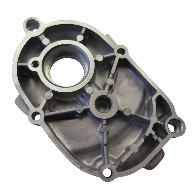 SMC Getriebeabdeckung Rex Motordeckel Roller 50ccm 2Takt Motorroller.de Kupplungsdeckel Getriebegehäuse Gehäusedeckel Variodeckel Variomatikdeckel