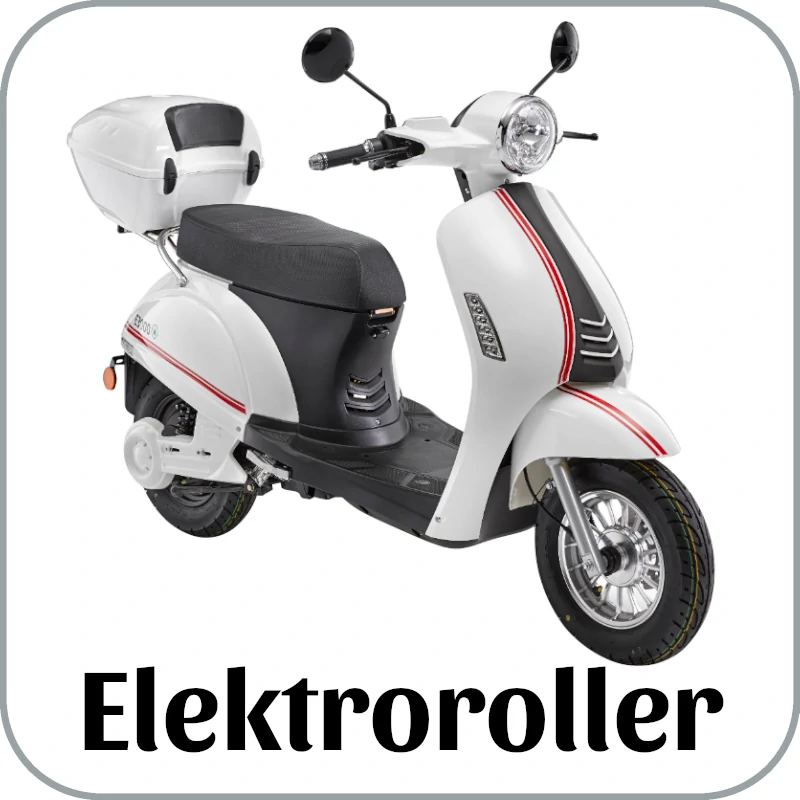 Elektroroller_gross